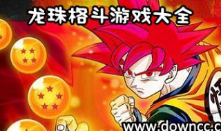七龙珠大型单机游戏