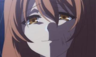 原神安娜风车上没有