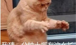 得知开学时间后崩溃