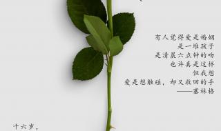 情人节文案发朋友圈 情人节文案发朋友圈