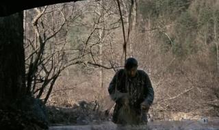 走着瞧文章 走着瞧文章