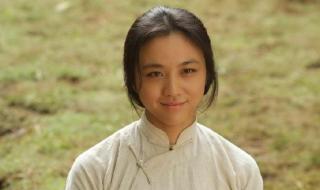 武侠甄子丹 武侠甄子丹