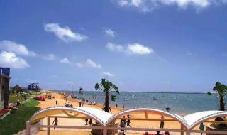 上海奉贤区有几个游乐园叫什幺名 上海上海都市菜园